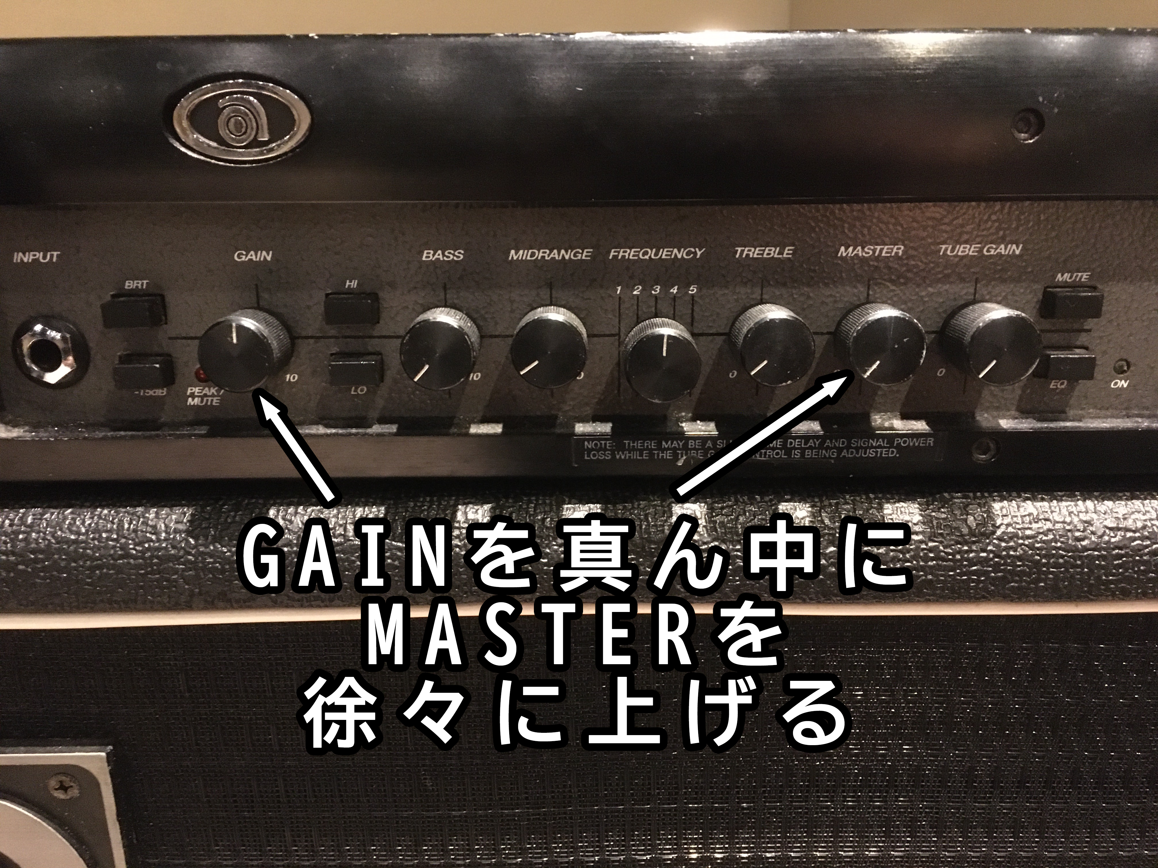 アウトレット専用商品 専用 AMPEG SVT-3 PRO アンペグ アンプ Hi